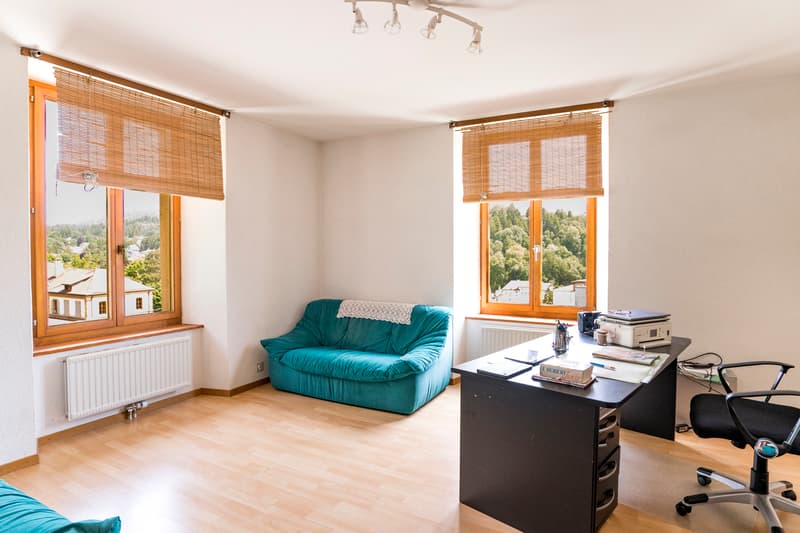 Bâtisse du 19ème de 3 appartements (9)