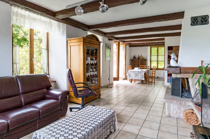 Bâtisse du 19ème de 3 appartements (7)