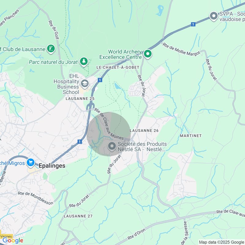 Appartement 3.5 pièces sur les hauteurs de Lausanne (10)