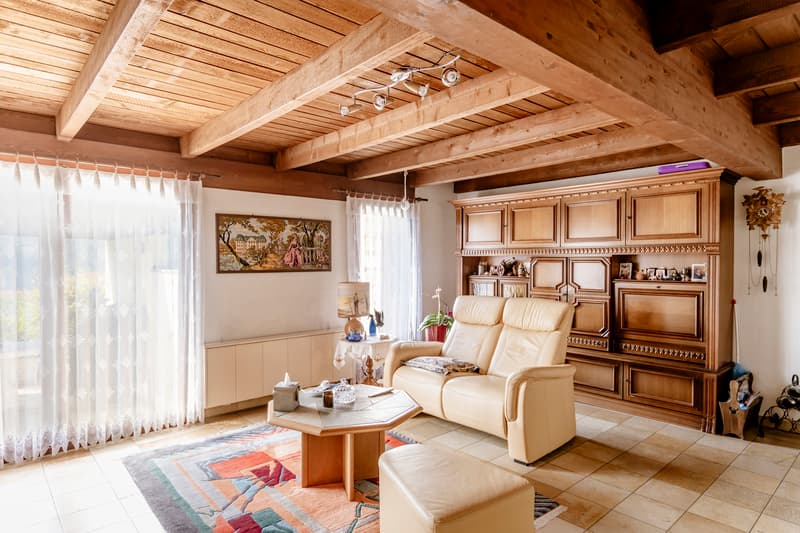 Cosy et chaleureuse maison mitoyenne (4)