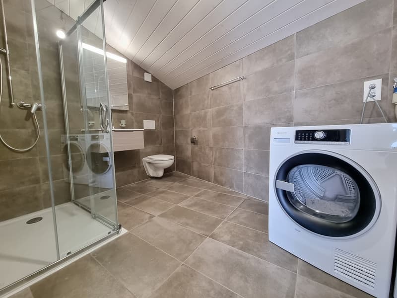 SPACIEUX APPARTEMENT MANSARDÉ DE 2.5 PIÈCES POUR RENDEMENT (8)