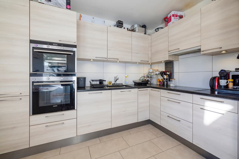 Grand appartement contemporain dans un charmant quartier résidentiel (4)