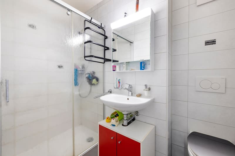 Grand appartement contemporain dans un charmant quartier résidentiel (11)