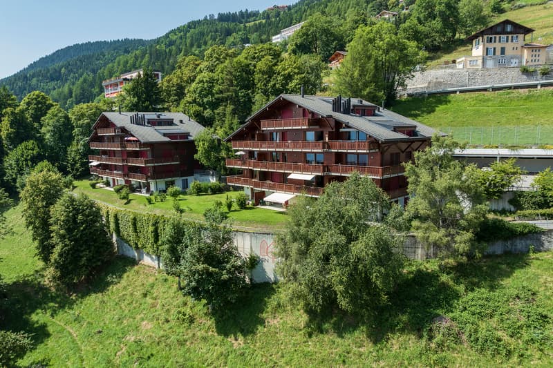 Magnifique 2.5 pièces au rez-jardin avec terrasse et vue splendide ! (5)