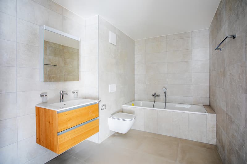DUPLEX 5.5P EN ATTIQUE - BIEN "SIGNATURE" DE LA PPE - LOT 5 (7)
