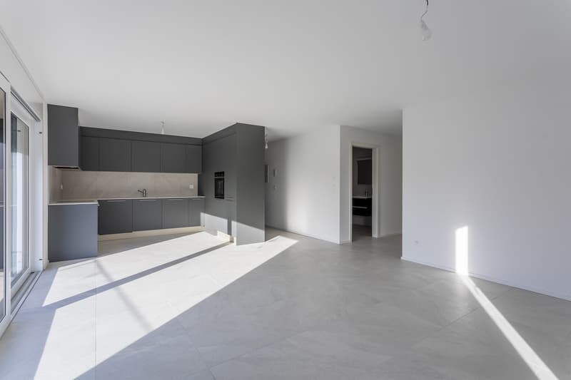 4.5P EN ATTIQUE AVEC PARKING SOUTERRAIN  LOT 6 (2)