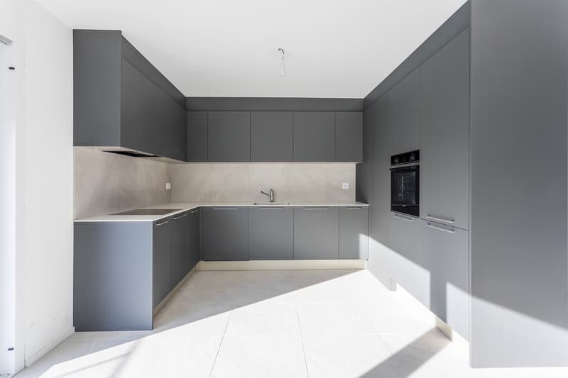 4.5P EN ATTIQUE AVEC PARKING SOUTERRAIN  LOT 6 (3)