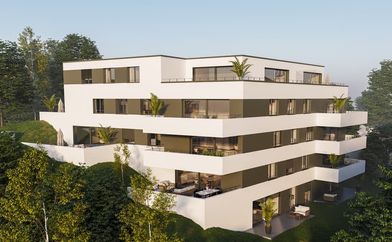 Beauregard : Appartement 3.5 pces avec grand balcon (2)