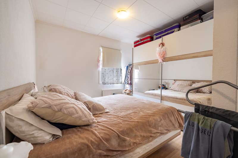 Deux appartements loués de plain-pied avec terrasse et parking (10)