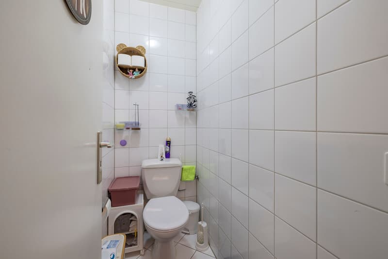Deux appartements loués de plain-pied avec terrasse et parking (11)