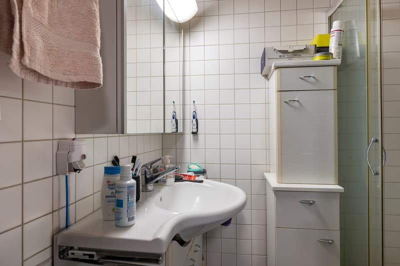 Deux appartements loués de plain-pied avec terrasse et parking (6)