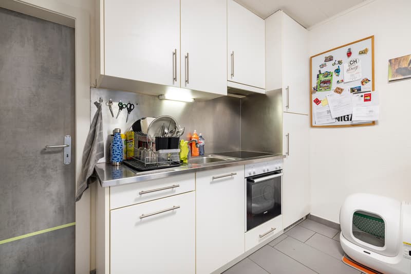 Deux appartements loués de plain-pied avec terrasse et parking (3)
