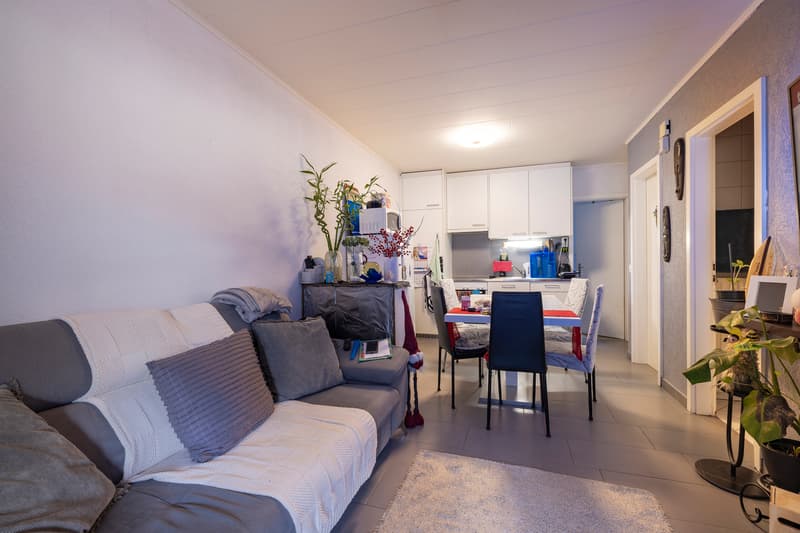 Deux appartements loués de plain-pied avec terrasse et parking (8)