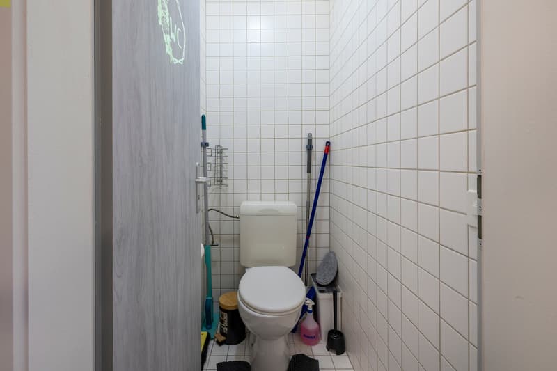 Deux appartements loués de plain-pied avec terrasse et parking (5)