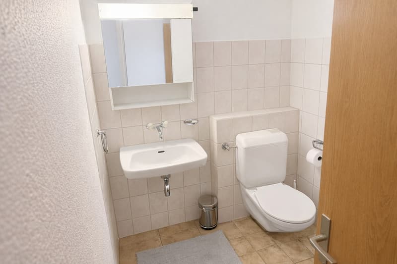 APPARTEMENT DE 3.5 PCES AU 1ER ETAGE AVEC GARAGE BOX ET PLACE EXT. (5)
