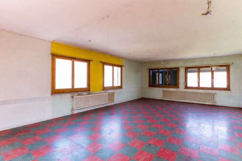 Grande villa à rénover / transformer pour multiples projets (12)