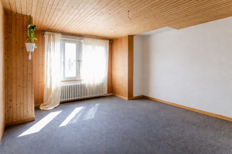 Grande villa à rénover / transformer pour multiples projets (2)