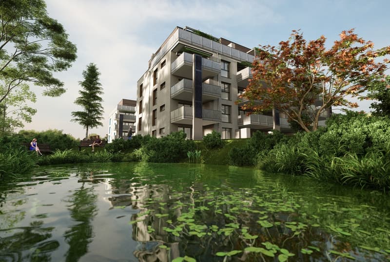Parc du Moulin - Appartement 4.5 pces - Lot E11 (3)