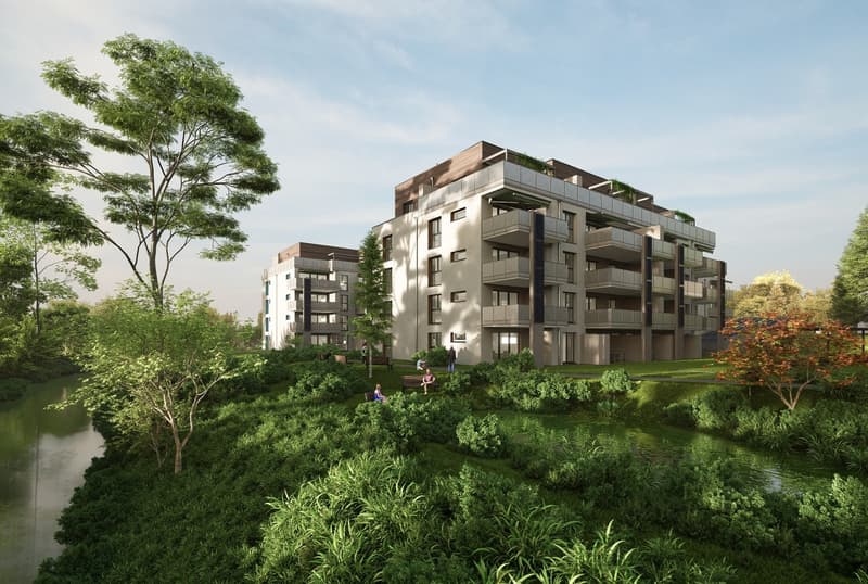 Parc du Moulin - Appartement 4.5 pces - Lot A14 (5)