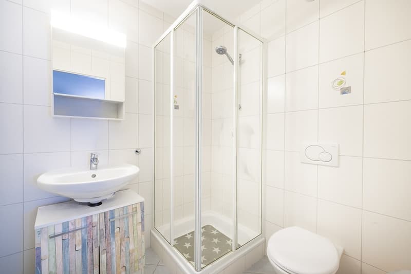 Appartement traversant de 4.5 pièces avec jardin (10)