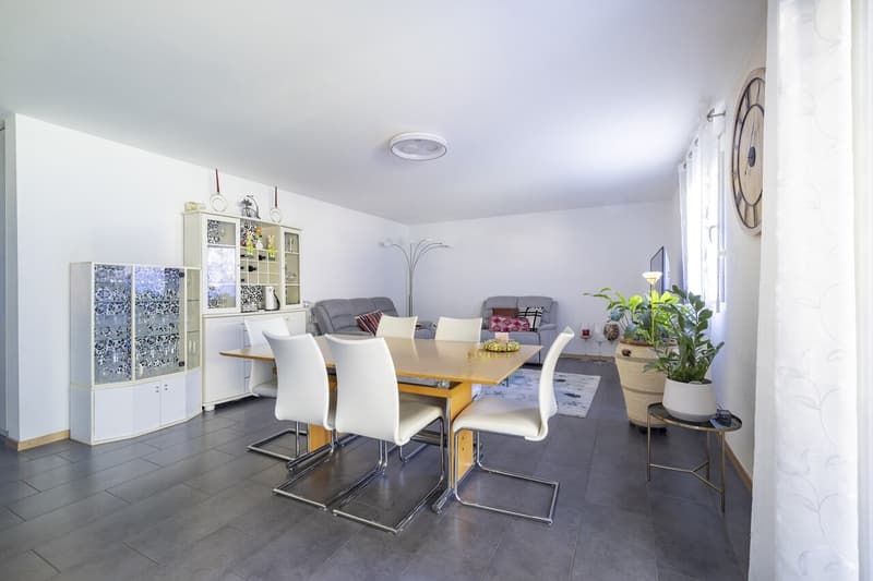 Appartement traversant de 4.5 pièces avec jardin (8)