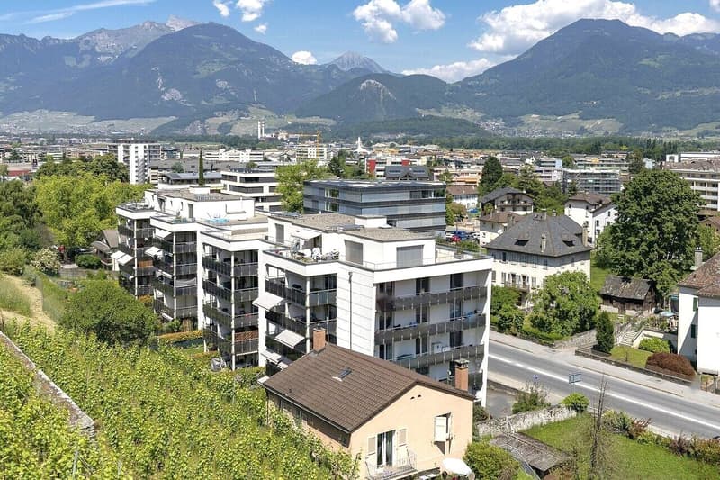 Appartement traversant de 4.5 pièces avec jardin (2)