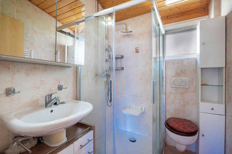 Villa 6.5 pièces avec grand jardin, vue dégagée et potentiel locatif (12)