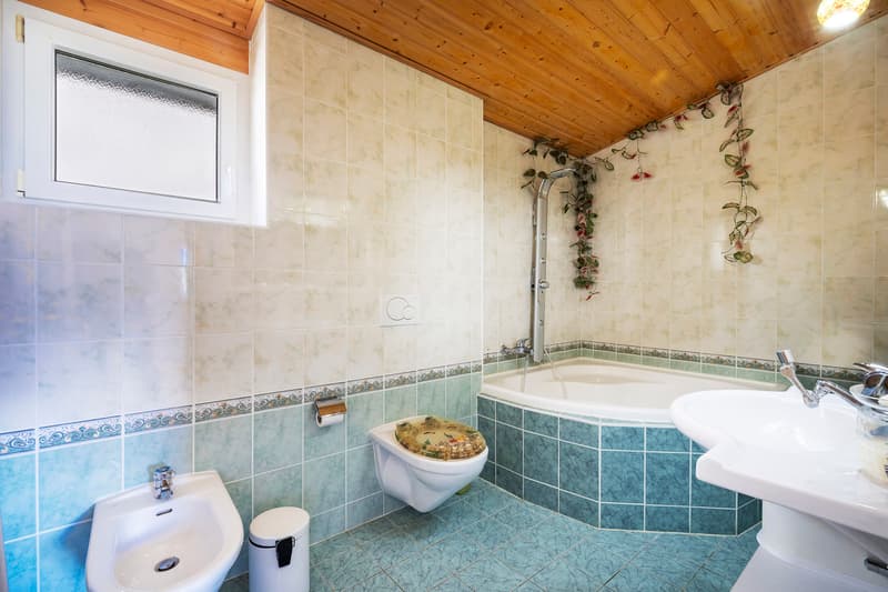Villa 6.5 pièces avec grand jardin, vue dégagée et potentiel locatif (11)