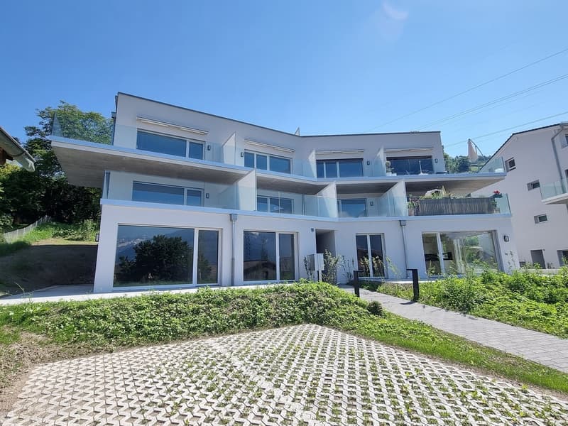 NEUF ! SURFACE COMMERCIALE DE 209 M² AVEC TERRASSE-PELOUSE (2)