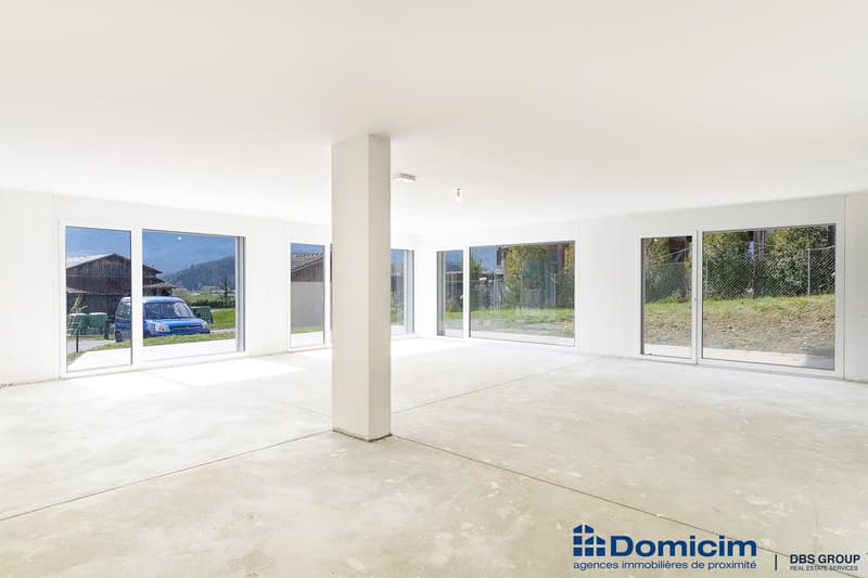 NEUF ! SURFACE COMMERCIALE DE 209 M² AVEC TERRASSE-PELOUSE (4)