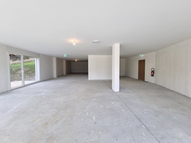 NEUF ! SURFACE COMMERCIALE DE 209 M² AVEC TERRASSE-PELOUSE (3)