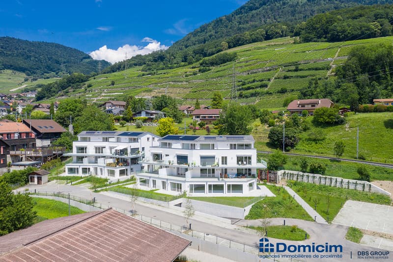 NEUF ! SURFACE COMMERCIALE DE 209 M² AVEC TERRASSE-PELOUSE (7)