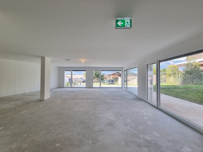 NEUF ! SURFACE COMMERCIALE DE 209 M² AVEC TERRASSE-PELOUSE (5)