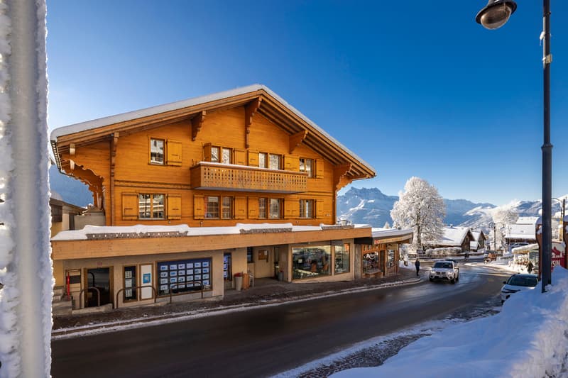 Charmant appartement style chalet avec cheminée au centre du village ! (4)