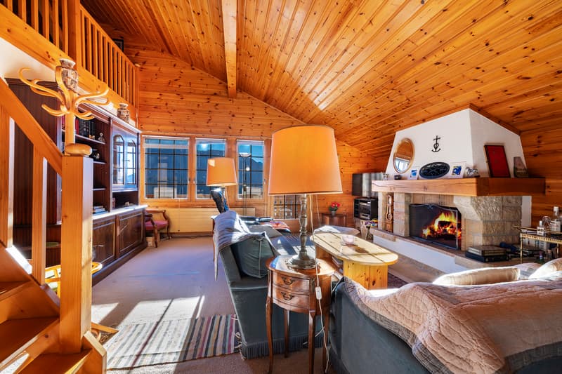 Charmant appartement style chalet avec cheminée au centre du village ! (1)
