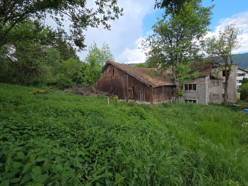 Lot de deux bâtiments sur 2'583 m2 de terrain constructible (10)