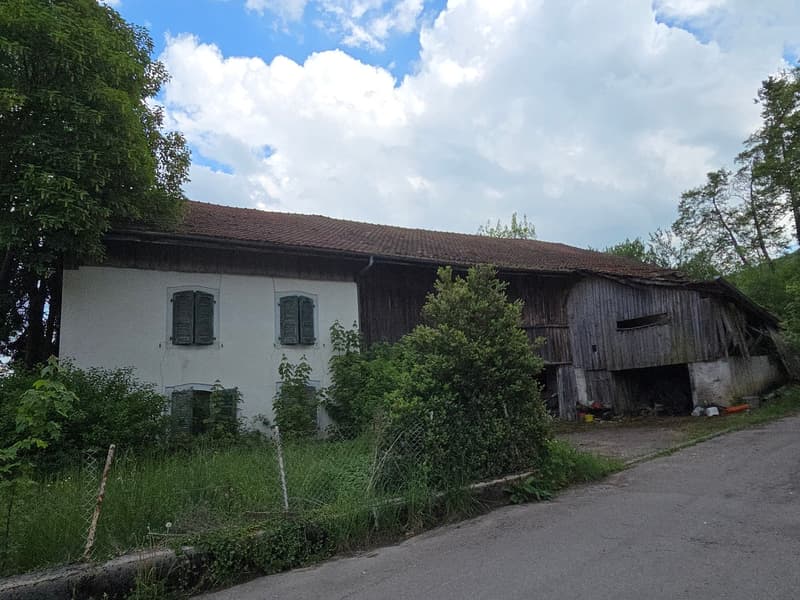 Lot de deux bâtiments sur 2'583 m2 de terrain constructible (6)