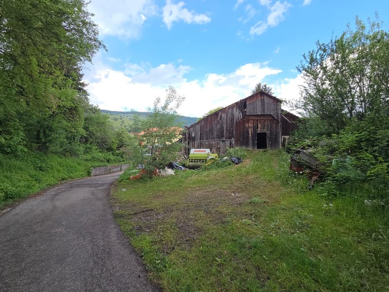 Lot de deux bâtiments sur 2'583 m2 de terrain constructible (9)