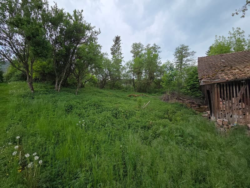 Lot de deux bâtiments sur 2'583 m2 de terrain constructible (11)