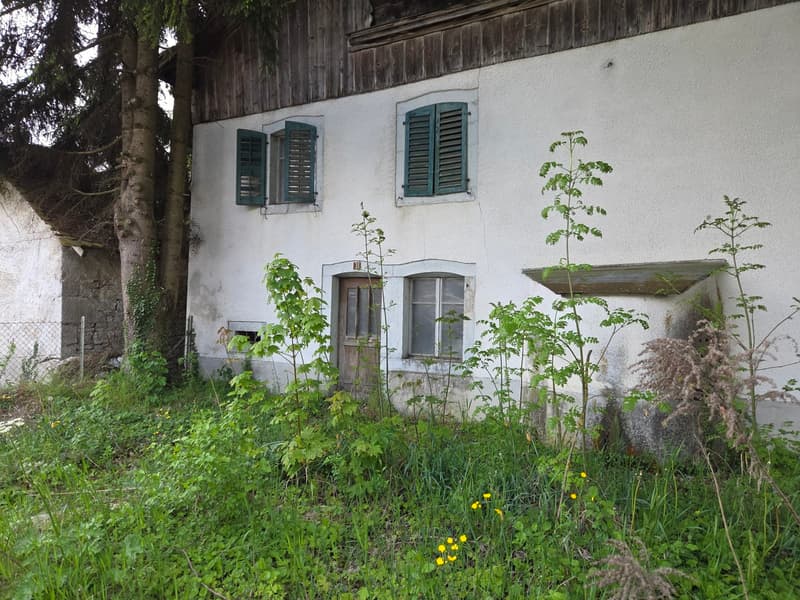 Lot de deux bâtiments sur 2'583 m2 de terrain constructible (3)