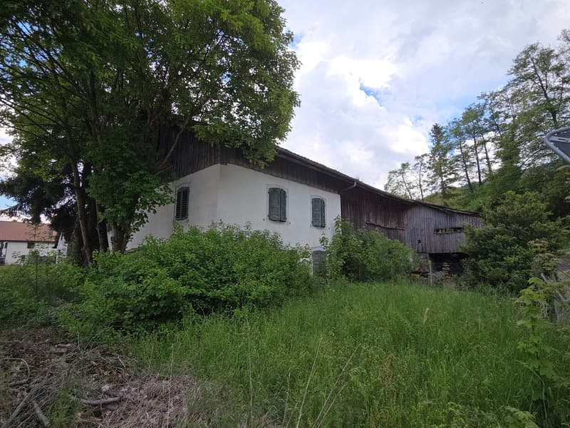 Lot de deux bâtiments sur 2'583 m2 de terrain constructible (5)