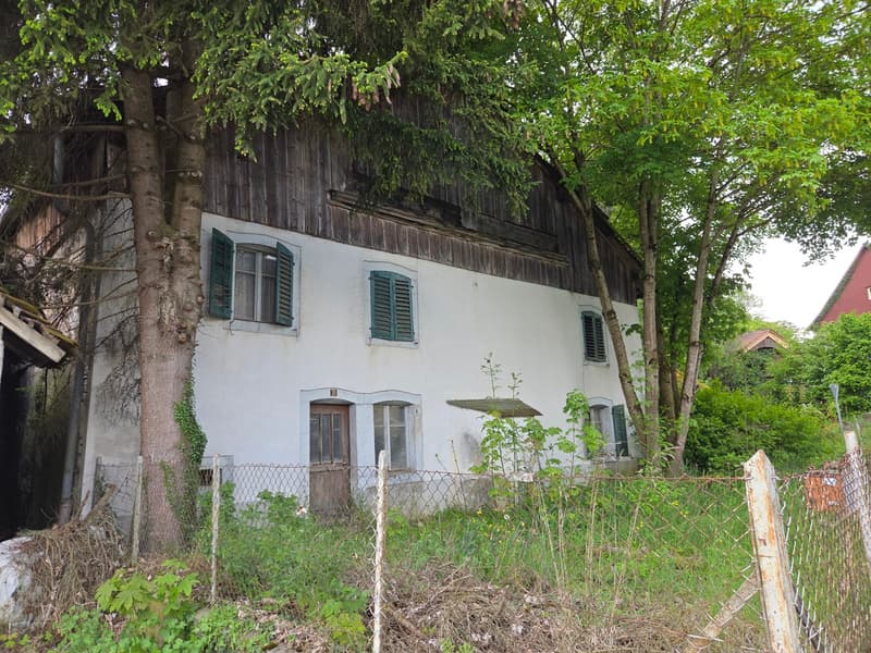 Lot de deux bâtiments sur 2'583 m2 de terrain constructible (2)