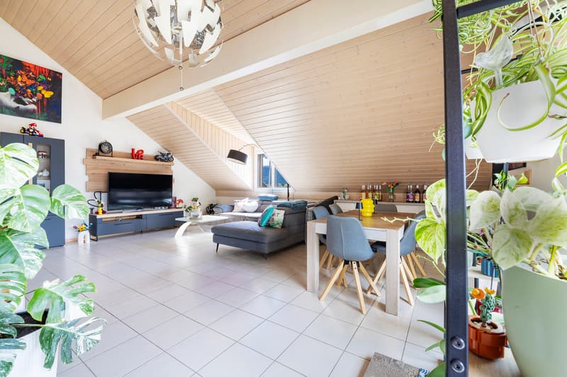 Bel appartement mansardé de 3.5 pièces (1)