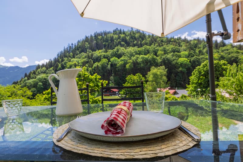 Votre havre de paix situé dans un charmant hameau proche de Leysin ! (2)