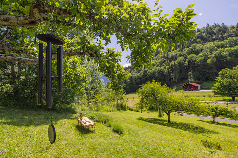 Votre havre de paix situé dans un charmant hameau proche de Leysin ! (5)