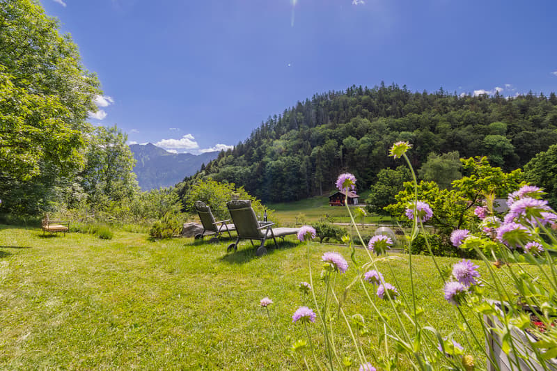 Votre havre de paix situé dans un charmant hameau proche de Leysin ! (3)