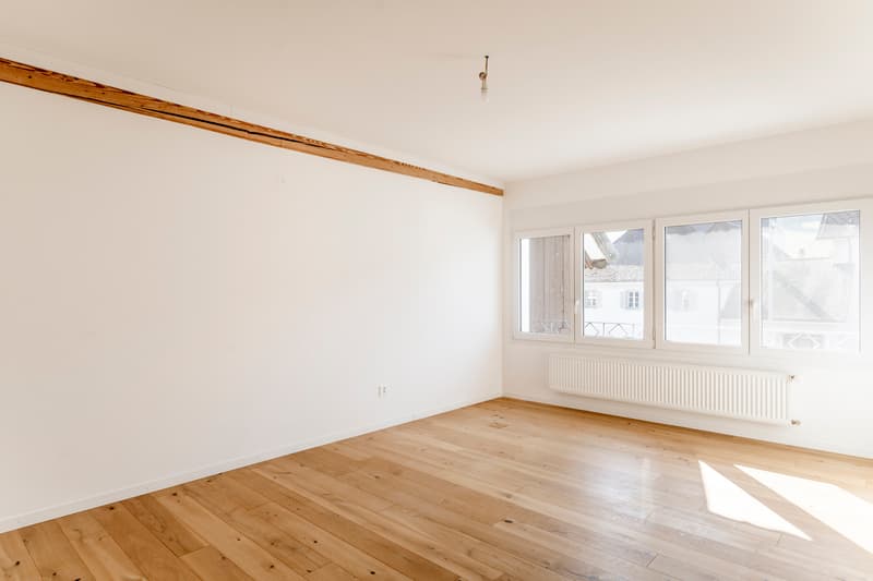 Authenticité et rénovation de qualité supérieure (9)