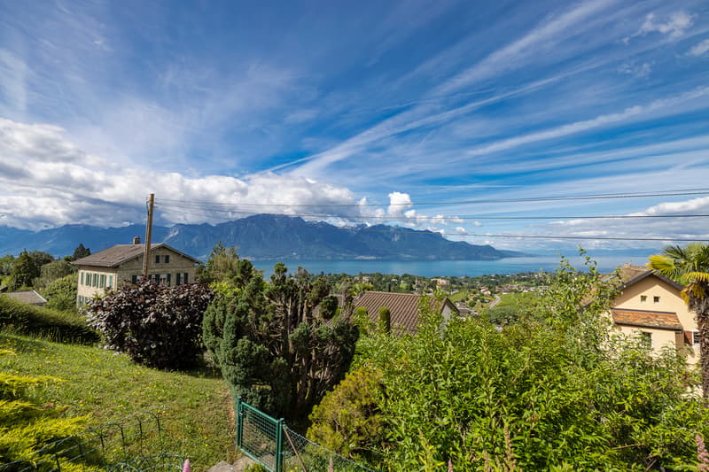 Villa d'exception de 9,5 pièces - Vue lac et montagnes sur la Riviera (5)