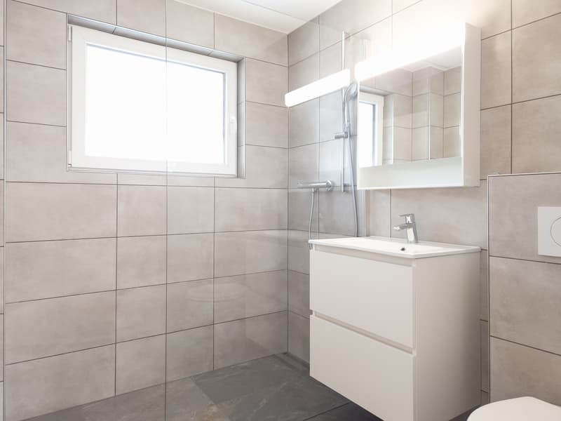Grande villa entièrement rénovée de 7.5 pces (10)