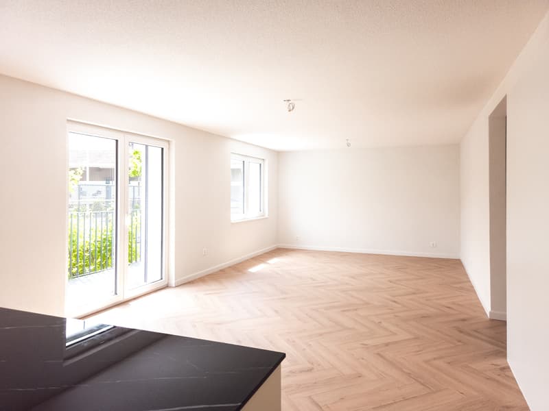 Grande villa entièrement rénovée de 7.5 pces (3)